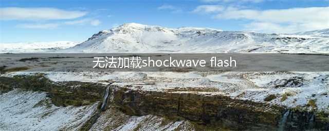 无法加载shockwave flash怎么办？排除故障的解决方案(无法加载shockwave flash)
