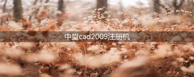 CAD2009注册机：让您免费注册CAD2009(中望cad2009注册机)