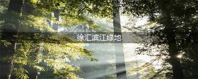 徐汇滨江绿地——上海最热门的滨江生态休闲公园