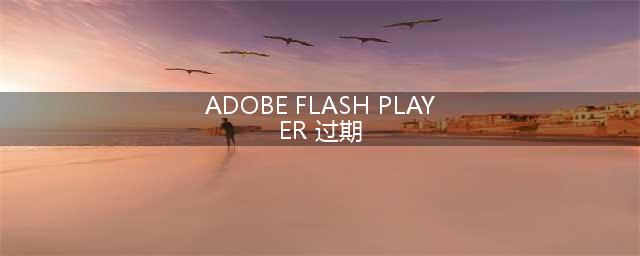 adobe flash player显示已过期怎么办(ADOBE FLASH PLAYER 过期)