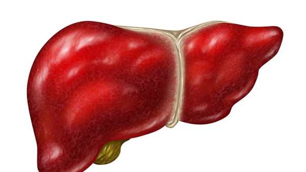 脂肪肝是怎么形成的？如何才能远离脂肪肝？