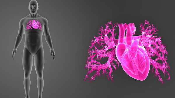 扩张性心肌炎是怎么回事?