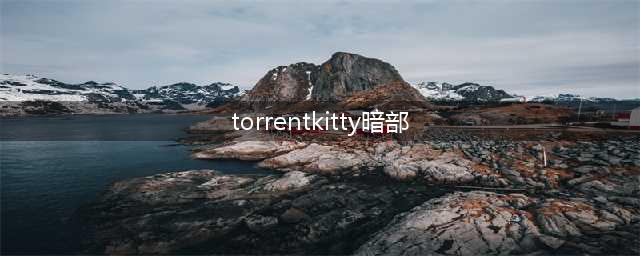 torrentkitty是什么(torrentkitty暗部)