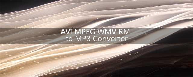 AVI MPEG WMV RM to MP3 Converter MP3设定(AVI MPEG WMV RM to MP3 Converter)