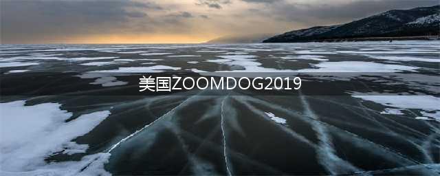 2019年Zoom Dog在美国的成功(美国ZOOMDOG2019)
