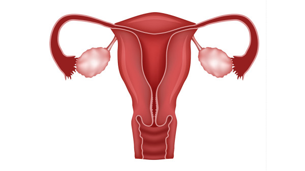 女性宫颈糜烂的十个最佳治疗方法 女性得了宫颈糜烂怎么治疗