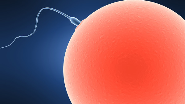 男人射出精子固体是怎么回事   精子固体应该怎么办