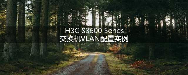 H3C S3600 Series交换机VLAN配置实例