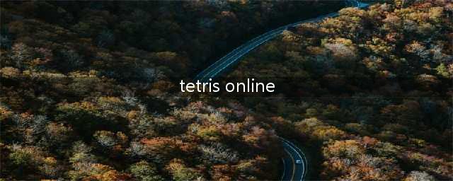 《tetris online》怎么玩 游戏玩法内容介绍