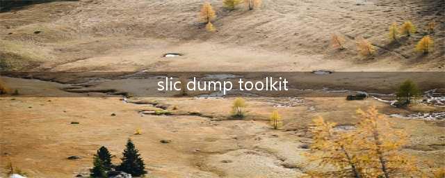 SLIC Dump TooKit是什么工具详细说一下(slic dump toolkit)