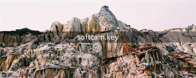 小白大作战里在哪里输入KEY(softcam.key)