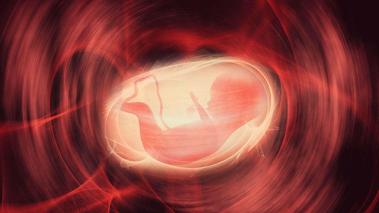 怀孕后胎儿发育过程