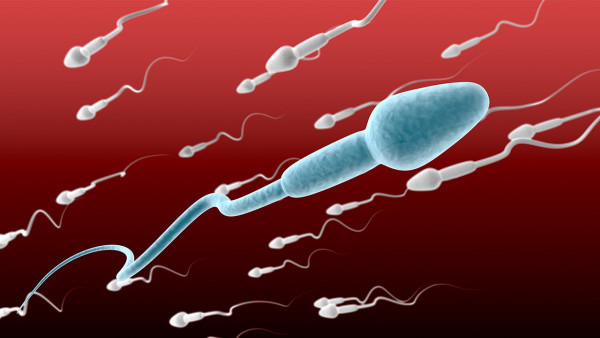 吃精子会怀孕吗