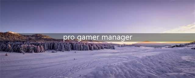 职业玩家系列(职业玩家经理(Pro Gamer Manager)生涯模式图文攻略)