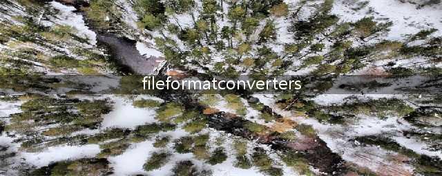 FileFormatConverters应用程序是什么(fileformatconverters)