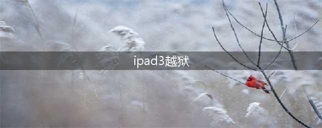 ipad3平板电脑如何越狱绕过激活(ipad3越狱)