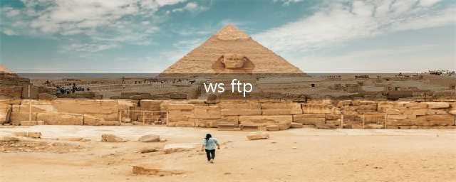 ws ftp 是什么(ws ftp)