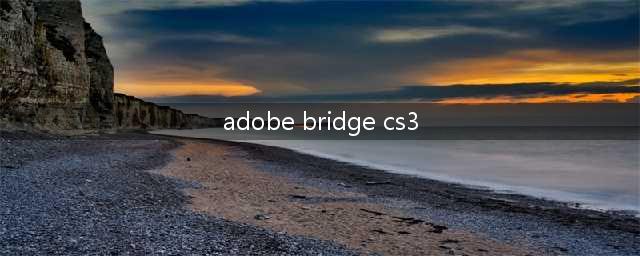 Adobe Bridge CS3是做什么的软件怎样卸载(adobe bridge cs3)