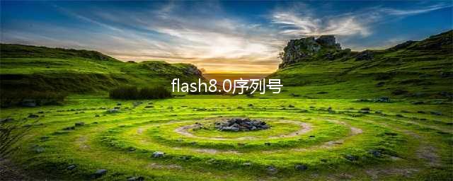 flash8的序列号是多少(flash8.0序列号)