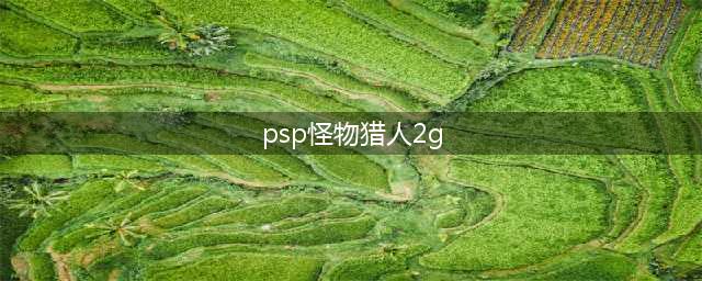 PSP怪物猎人2G攻略大全(psp怪物猎人2g)