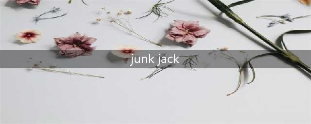 《垃圾杰克》游戏攻略大全(junk jack)
