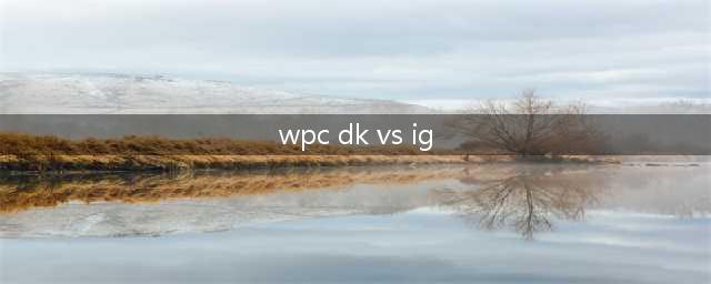 Gosu Cup DK VG IG不参加 是以为要打WPC(wpc dk vs ig)