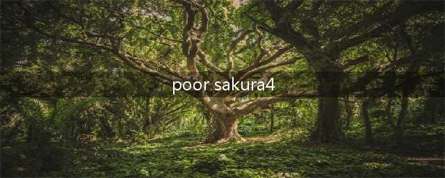 poorsakura4 怎么玩(poor sakura4)
