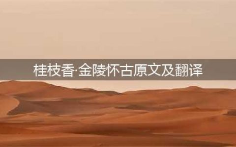 桂枝香·金陵怀古原文及翻译