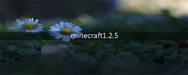 Minecraft历史版本攻略指南(minecraft1.2.5)