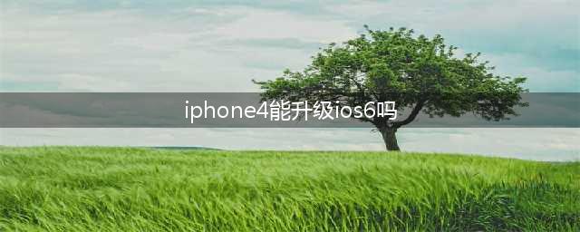 iphone4ios6系统好还是ios7系统好(iphone4能升级ios6吗)