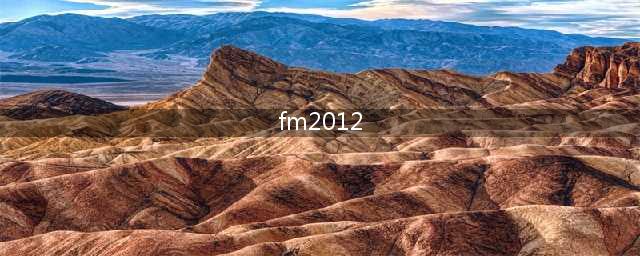 FM2012全面攻略分享(fm2012)