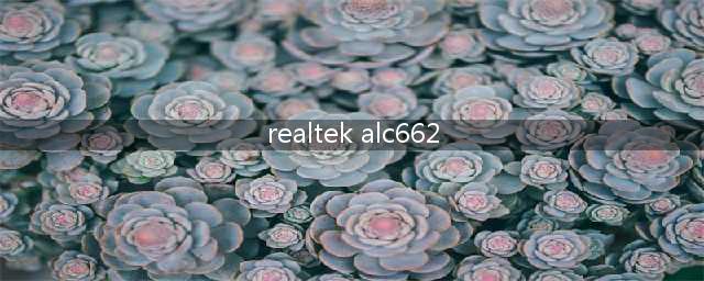 前面板插孔检测Realtek ALC662 6 声道高清音频(realtek alc662)