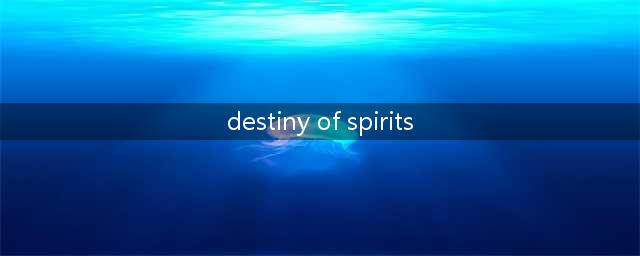 命运之灵游戏攻略(destiny of spirits)