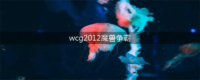 WCG2012中国区总决赛：魔兽争霸