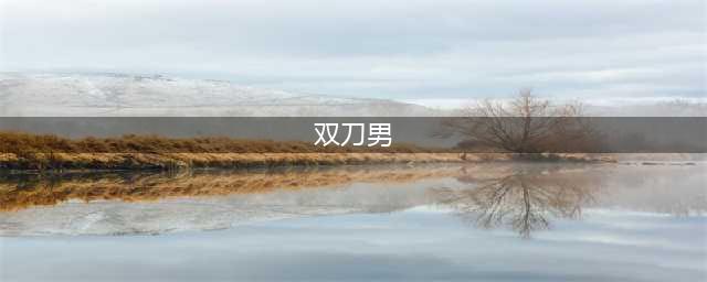 双刀侠：剑指江湖(双刀男)