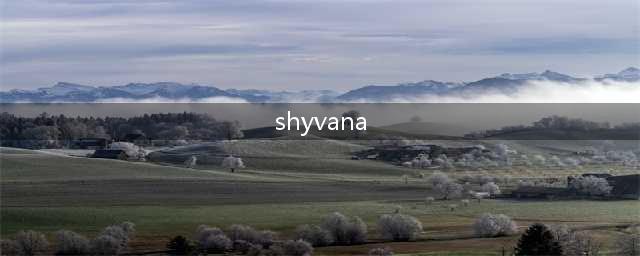 1. 了解shyvana，探索她的技能组合吧！2. shyvana英雄攻略成为巨龙勇士的必经之路。