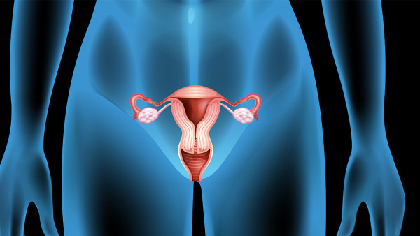 卵巢囊肿是怎么形成的