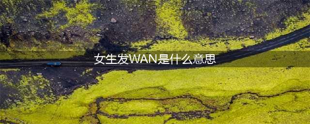 聊天时wan代表什么(女生发WAN是什么意思)