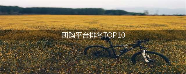 团购平台排名TOP10(最受欢迎的团购平台推荐)