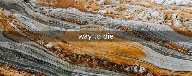 way to die的意思(way to die)