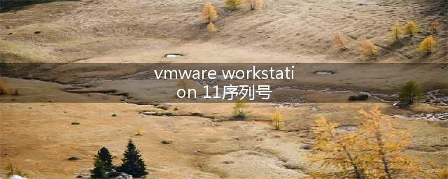 vmware 11 序列号怎么用(vmware workstation 11序列号)