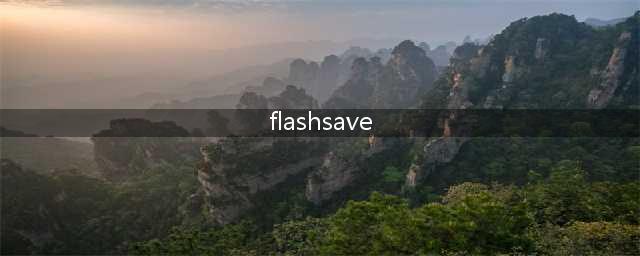 网上Flash图片怎么保存(flashsave)