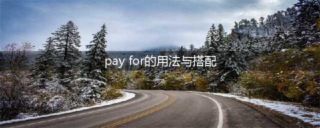 pay for的用法与搭配,pay for的用法与搭配