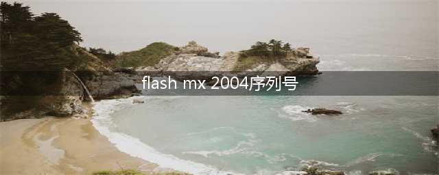 flash8的序列号是多少(flash mx 2004序列号)
