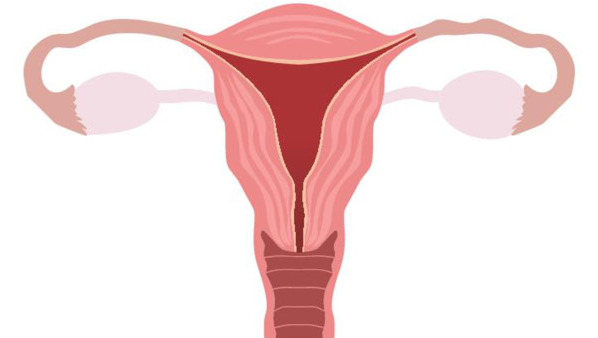 输卵管堵塞的症状是什么