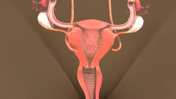 输卵管堵塞的症状是什么