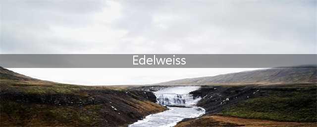 Edelweiss,Edelweiss(雪绒花)中英文歌词