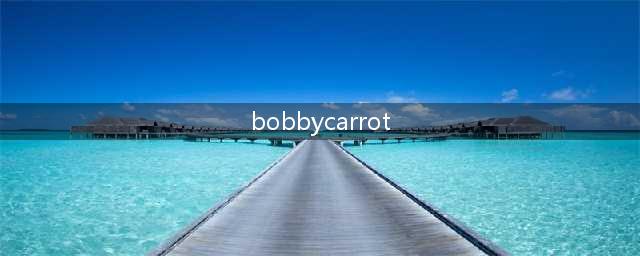 Bobby Carrot第22关怎么过(bobbycarrot)