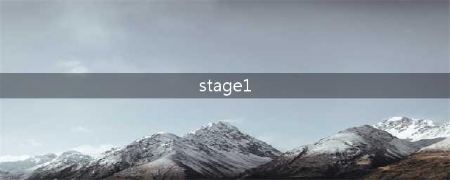 stage 1 performance long block 是什么意思(stage1)