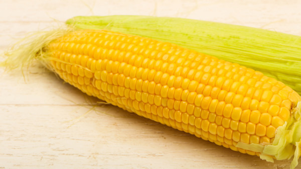 糖尿病能吃玉米吗
